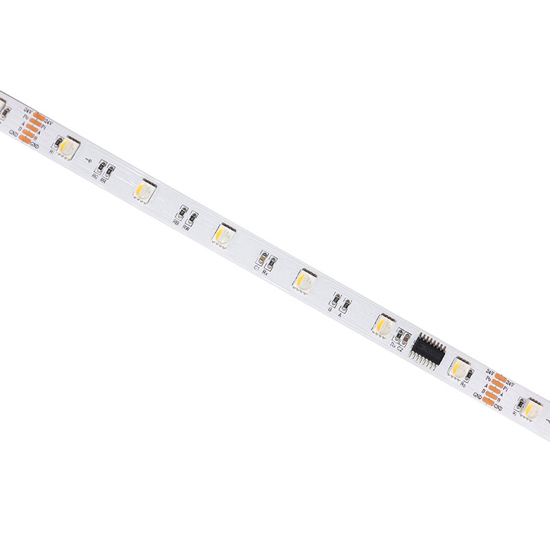 24V DMX512 SMD5050 RGBW Dream Color LED Pixel Strip Light 24V DMX512 SMD5050 RGBW Dream Color LED Pixel Strip Light
